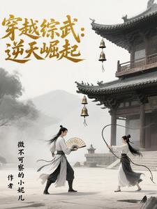 穿越综武世界的武侠