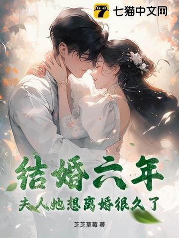 夫人她想离婚很久了电视剧