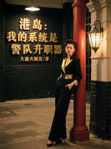港片警察系统