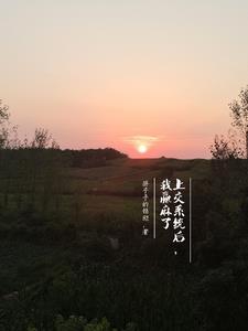 我被系统搞了