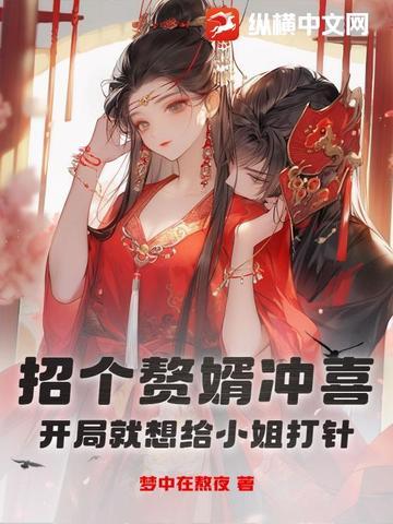招个赘婿冲喜,开局就想给小姐打针?