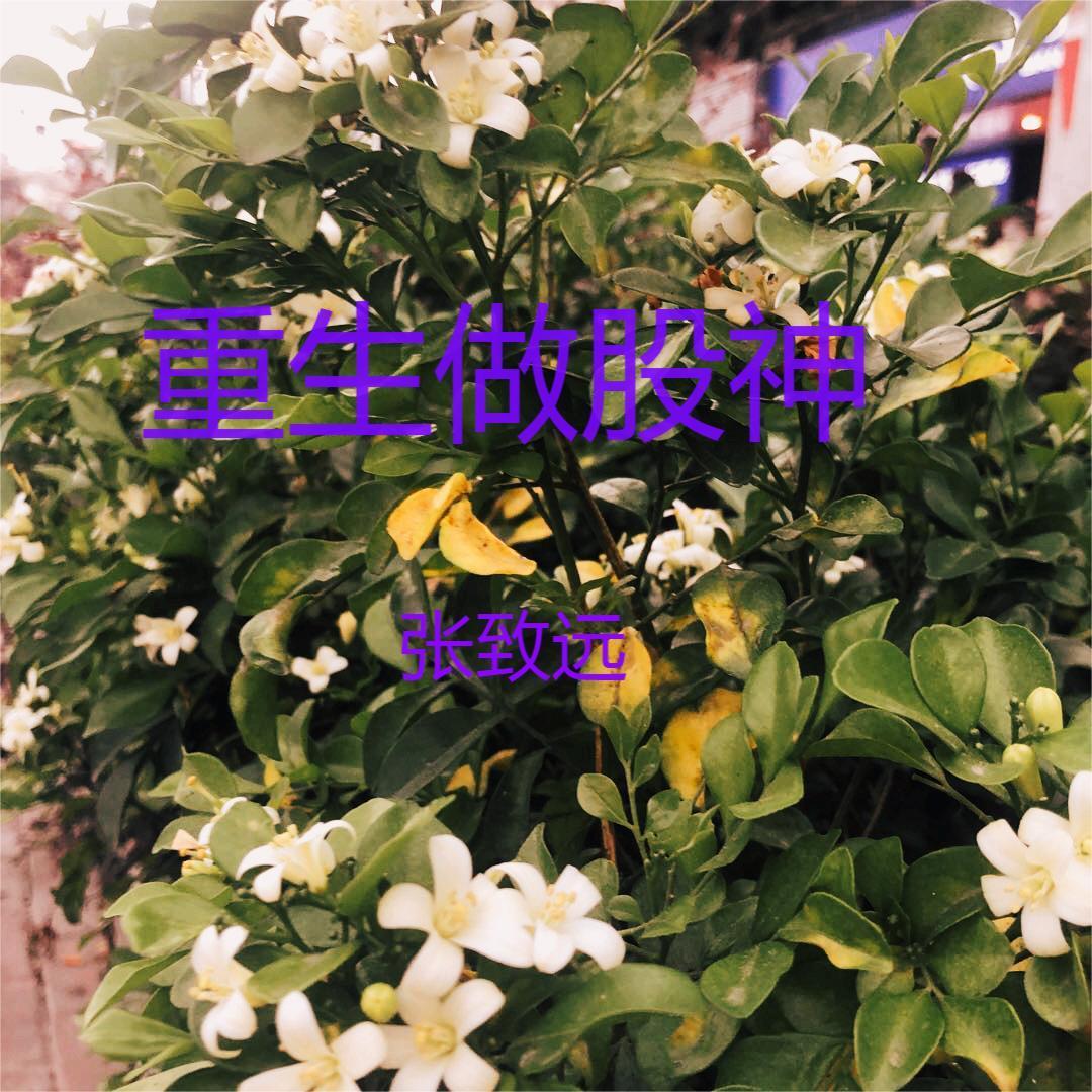 重生:金融巨子归来为爱涤荡乾坤